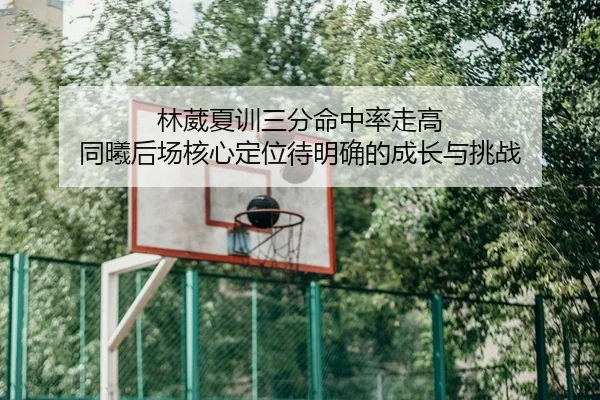 林葳夏训三分命中率走高 同曦后场核心定位待明确的成长与挑战